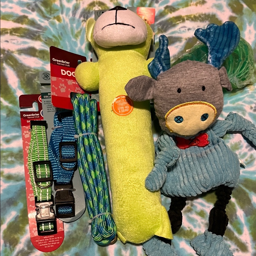 Toy and Pet Accessories Bundle - Blue, Green